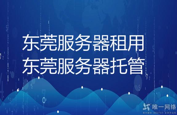 灵活服务器租用