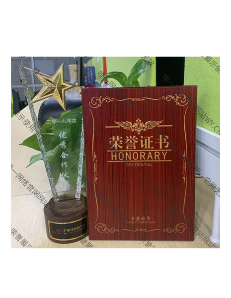 联通（广东）“2019年度优秀合作伙伴”