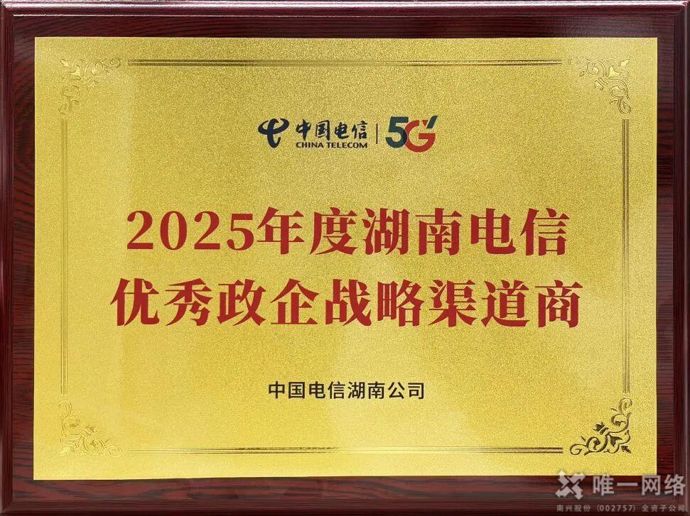唯云网络斩获“2025年湖南电信优秀政企战略渠道商”称号